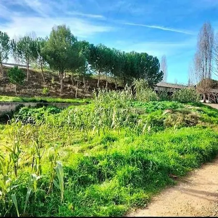 Manzaneque Rural House *