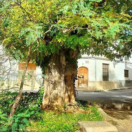 Manzaneque Rural House