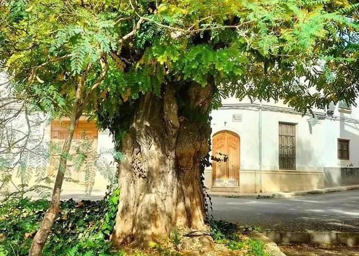 Manzaneque Rural House